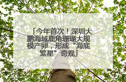 今年首次！深圳大鹏海域鹿角珊瑚大规模产卵，形成“海底繁星”奇观